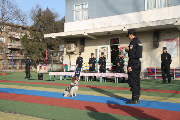 搜救犬——巴德现场表演.jpg